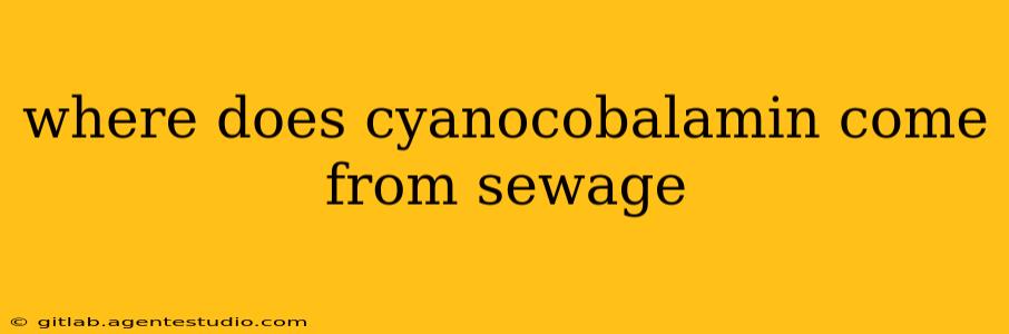 where does cyanocobalamin come from sewage