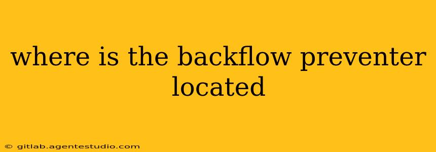 where is the backflow preventer located