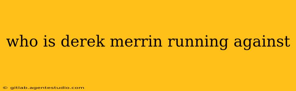 who is derek merrin running against