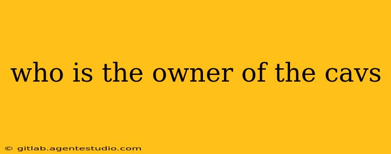 who is the owner of the cavs