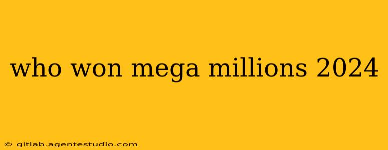 who won mega millions 2024