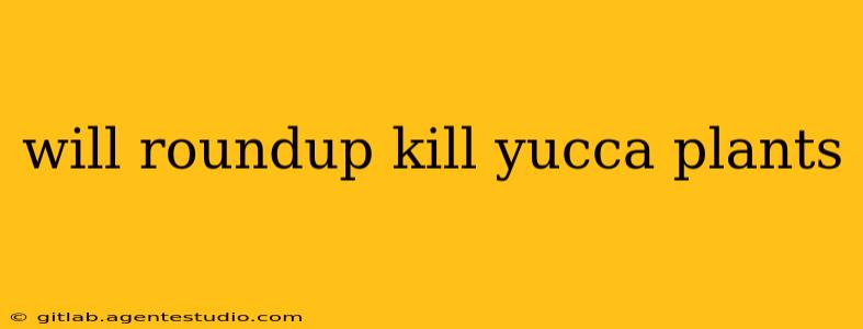 will roundup kill yucca plants