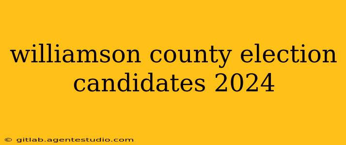 williamson county election candidates 2024