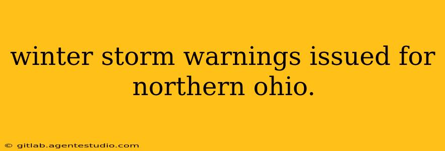 winter storm warnings issued for northern ohio.